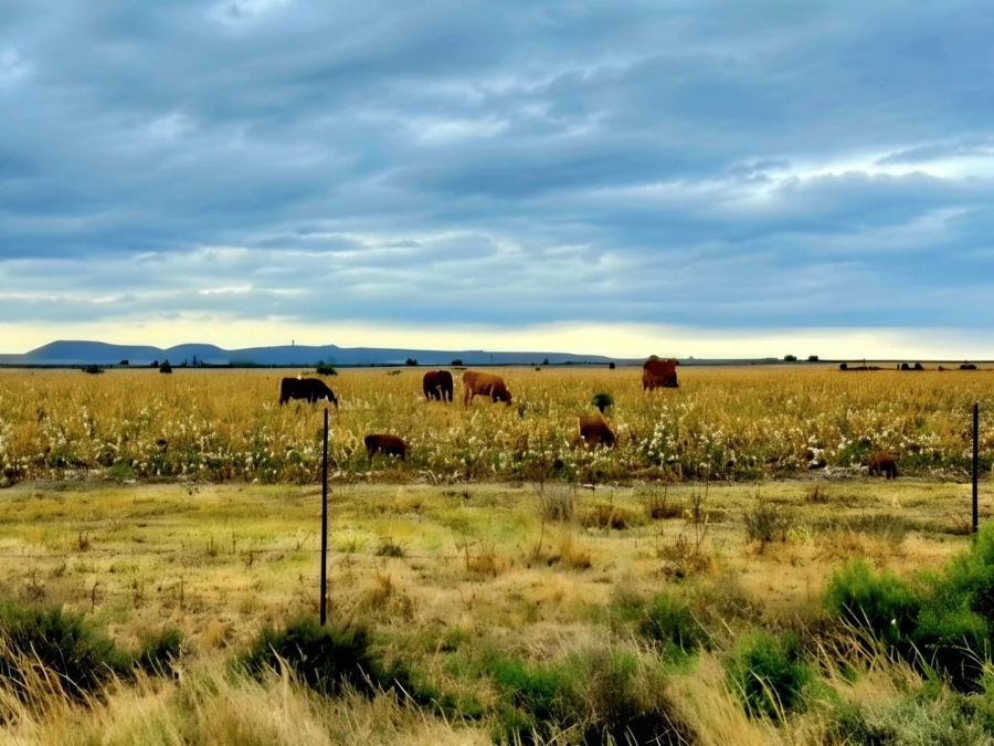 Commercial Property for Sale in Petrusburg Rural Free State
